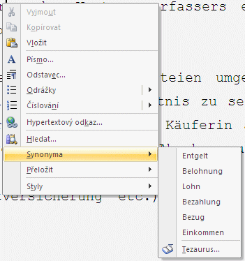 Jazykové funkce v Office 2007: slovník synonym