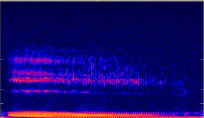 Spektrogram lidského hlasu